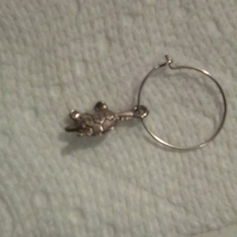 Silver charm - Picture 2 of 2
